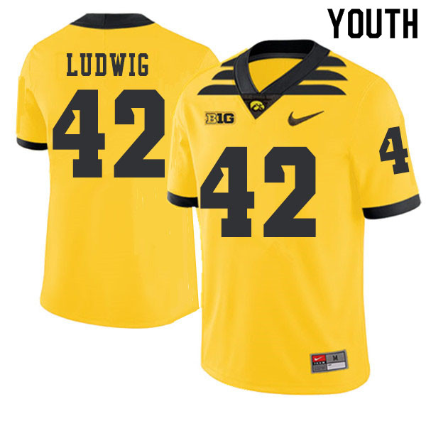 2019 Youth #42 Joe Ludwig Iowa Hawkeyes College Football Alternate Jerseys Sale-Gold